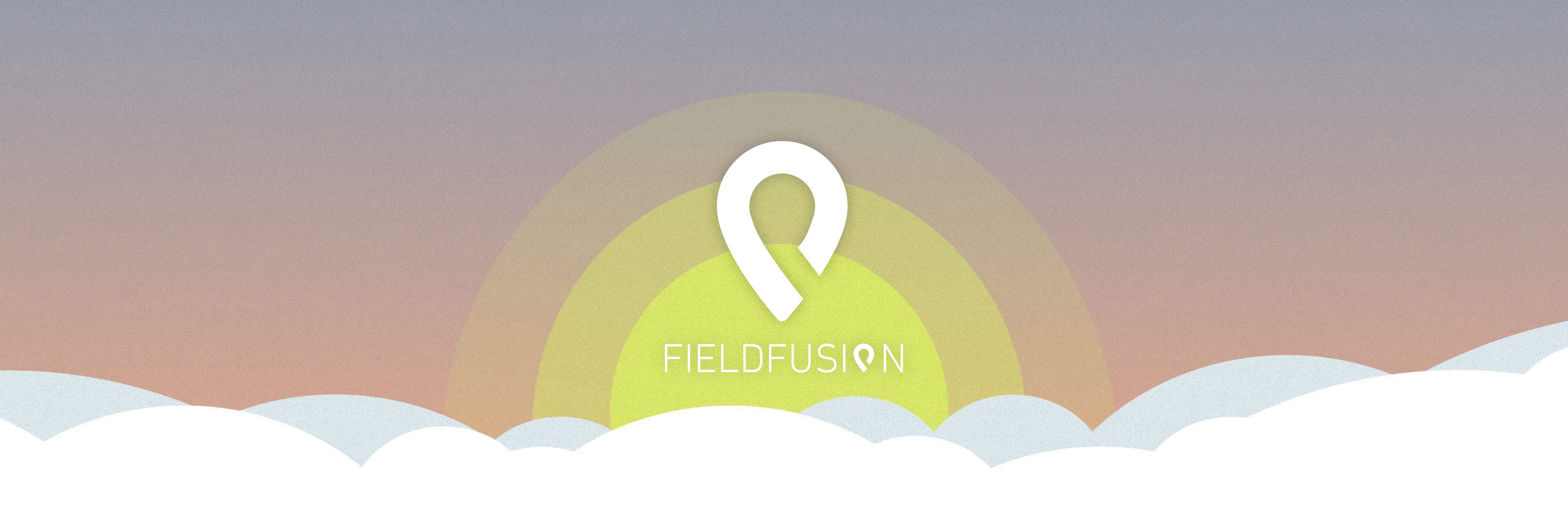 Your day with (and without) Fieldfusion